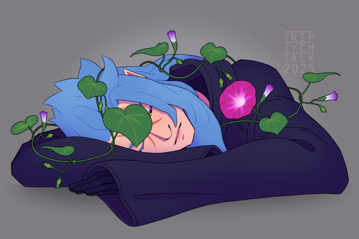 December 2025 - Morning Glory