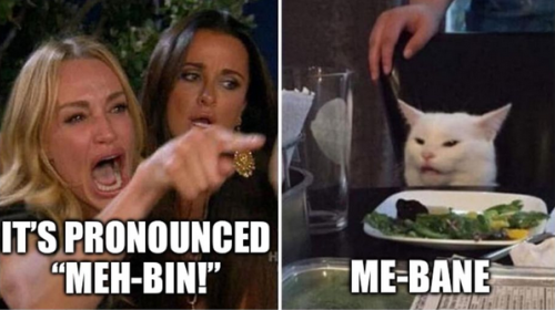 Distraught woman pointing at cat meme. She shouts It's pronounced Meh-bin! The cat stares at her and says Me-bane.